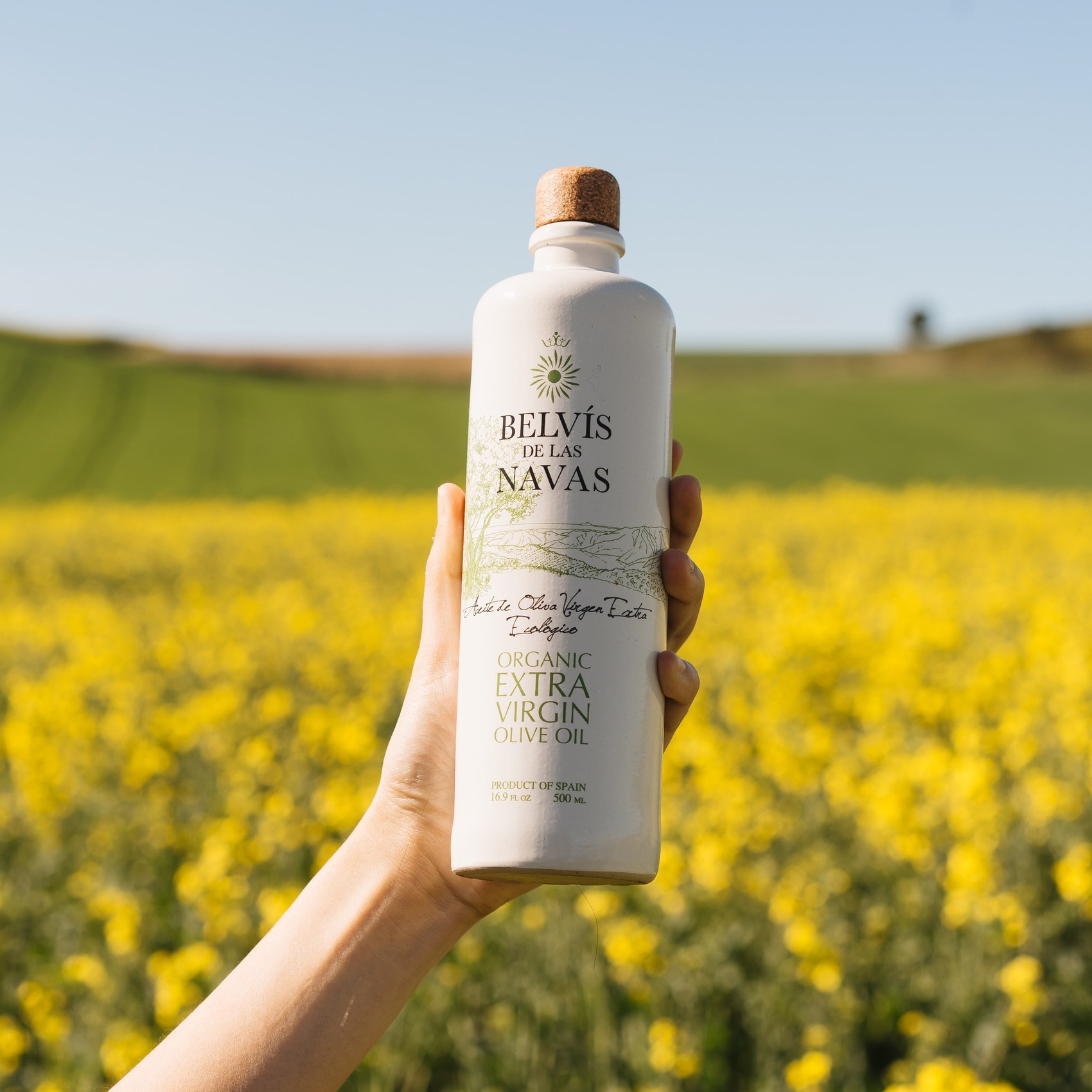 Botella de aceite Belvís de las Navas fotografiada en un campo de flores amarillas